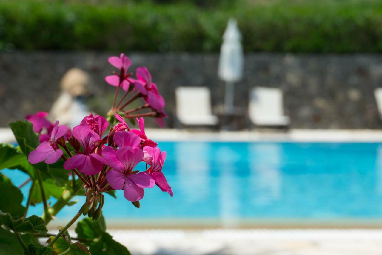 Venus Apartments Σιδάρι Εξωτερικό φωτογραφία